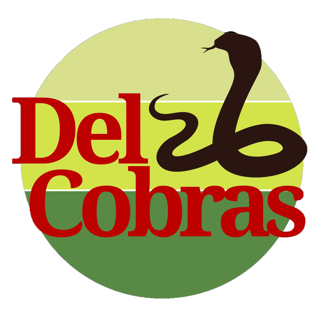 DelCobras convenience store tee.